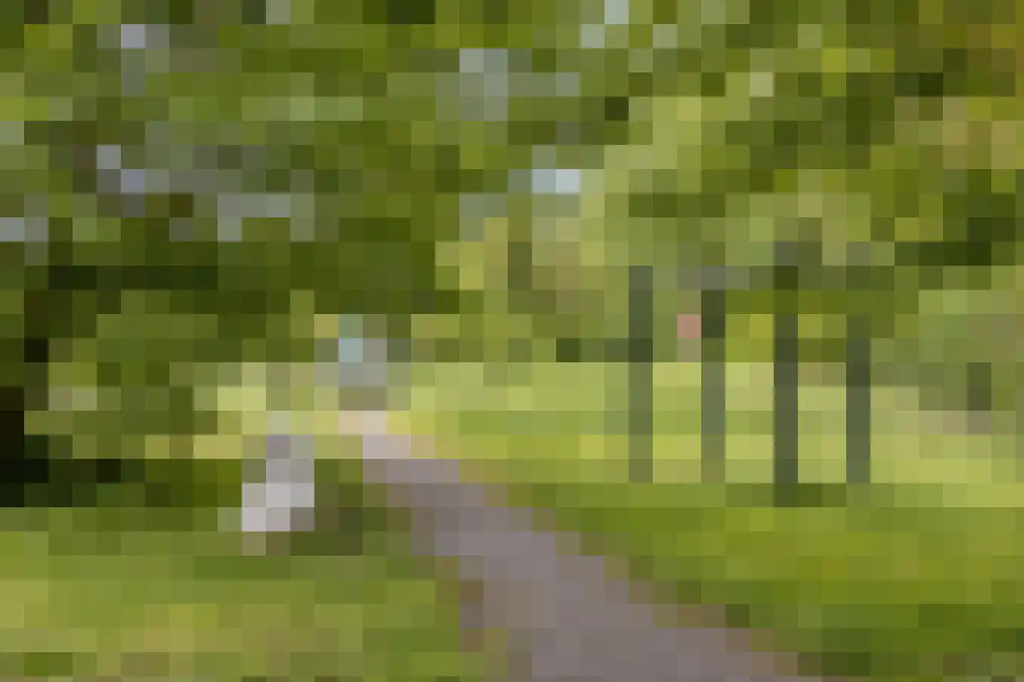 Grenulaan 22 Terneuzen thumbnail 26