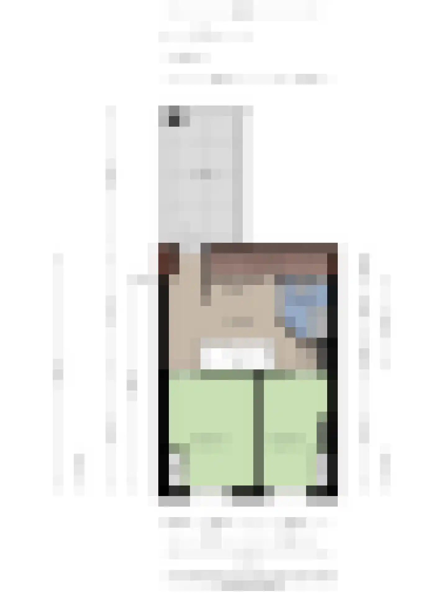 Grenulaan 22 Terneuzen thumbnail 30