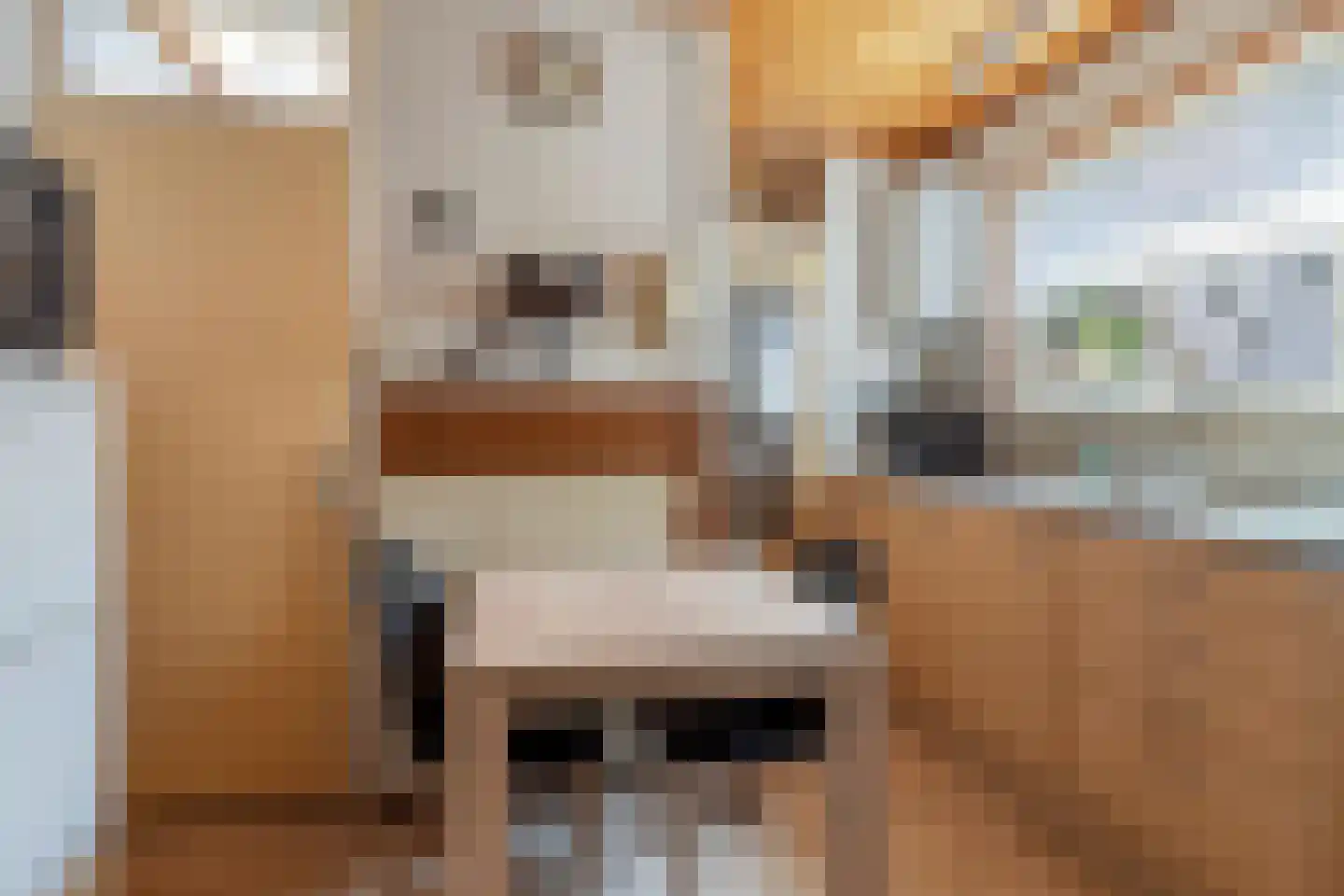 Grenulaan 23 Terneuzen thumbnail 13