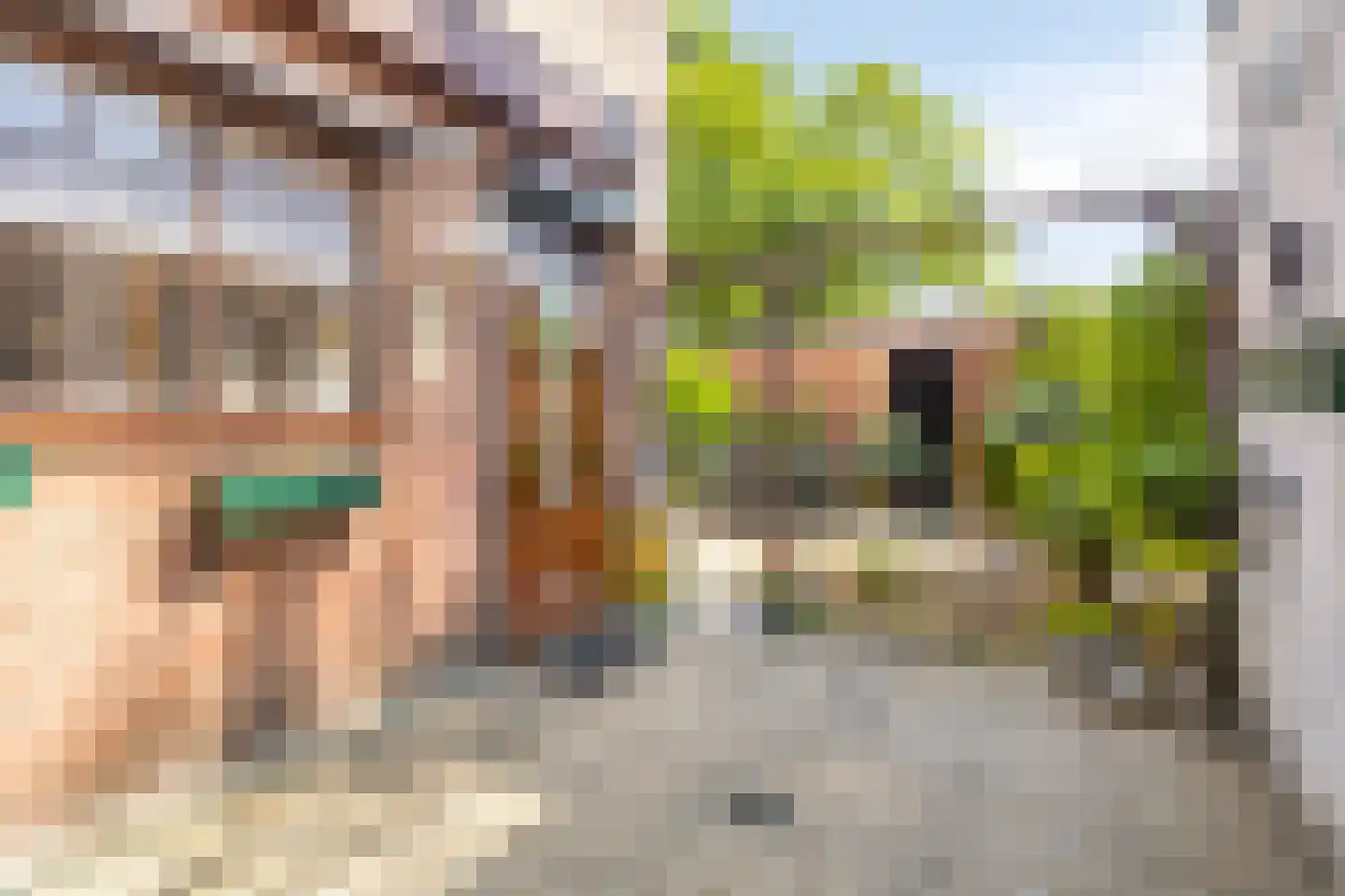 Grenulaan 23 Terneuzen thumbnail 24