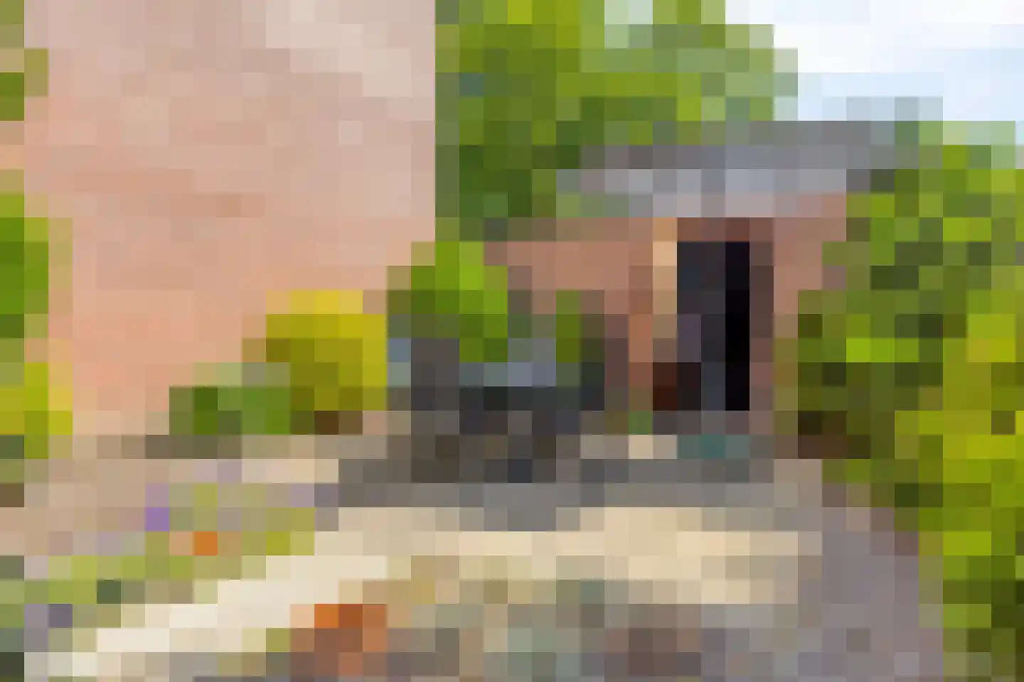 Grenulaan 23 Terneuzen thumbnail 25
