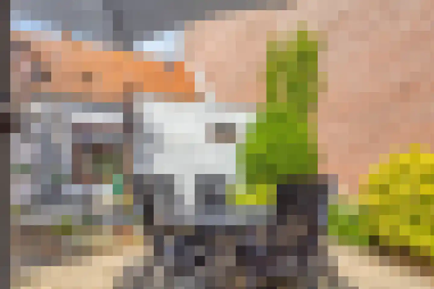 Grenulaan 23 Terneuzen thumbnail 4