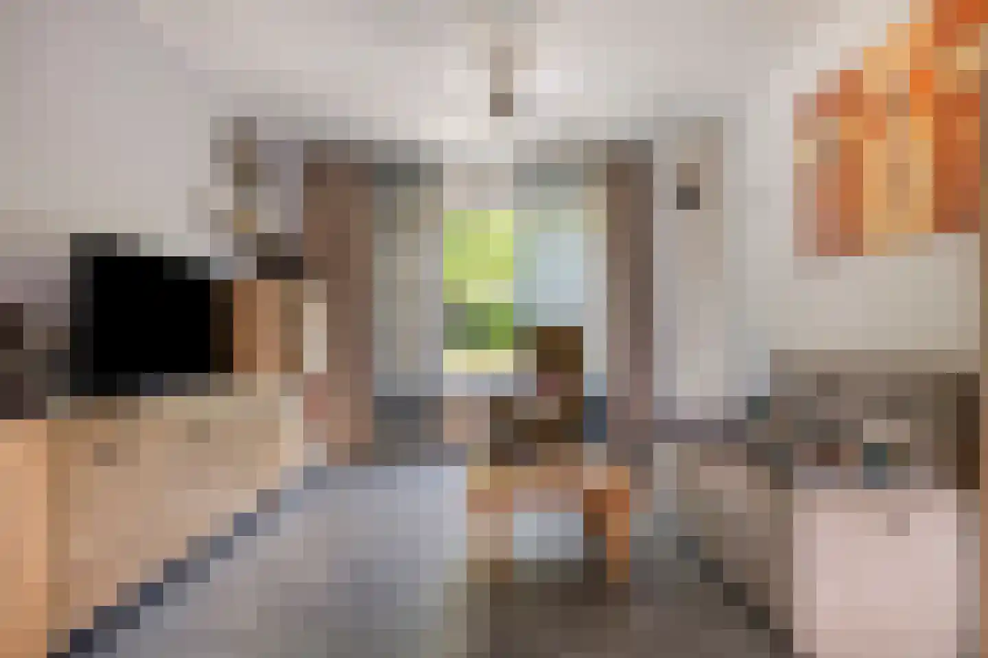 Grenulaan 29 Terneuzen thumbnail 11