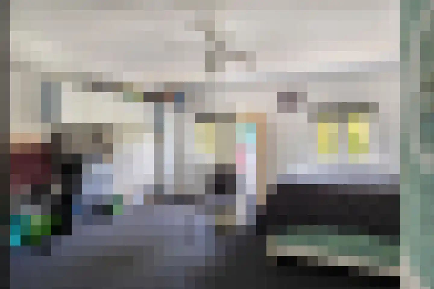 Grenulaan 29 Terneuzen thumbnail 20