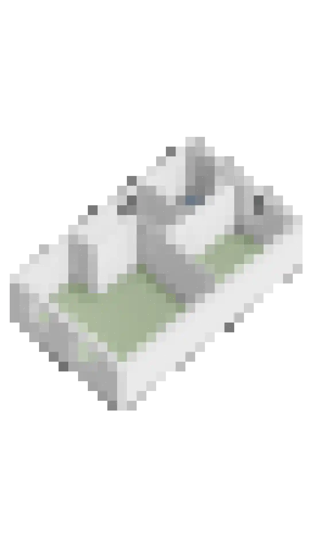 Grenulaan 29 Terneuzen thumbnail 37