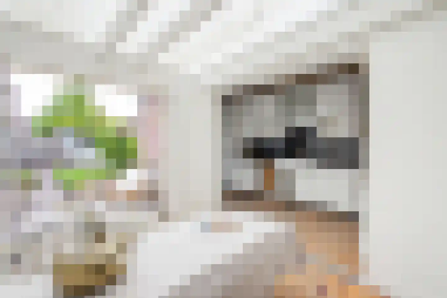 Grenulaan 32 Terneuzen thumbnail 12