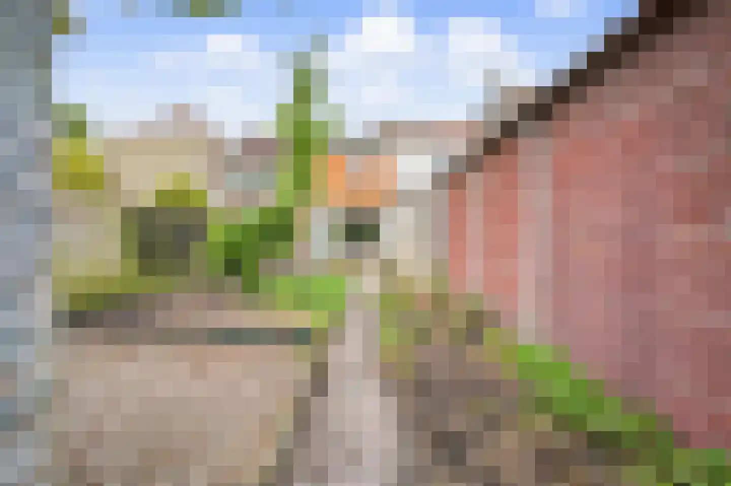 Grenulaan 32 Terneuzen thumbnail 24