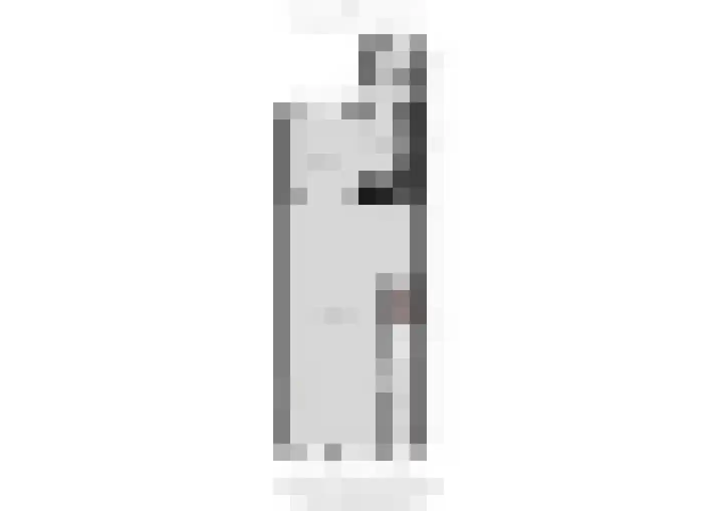 Grenulaan 32 Terneuzen thumbnail 30