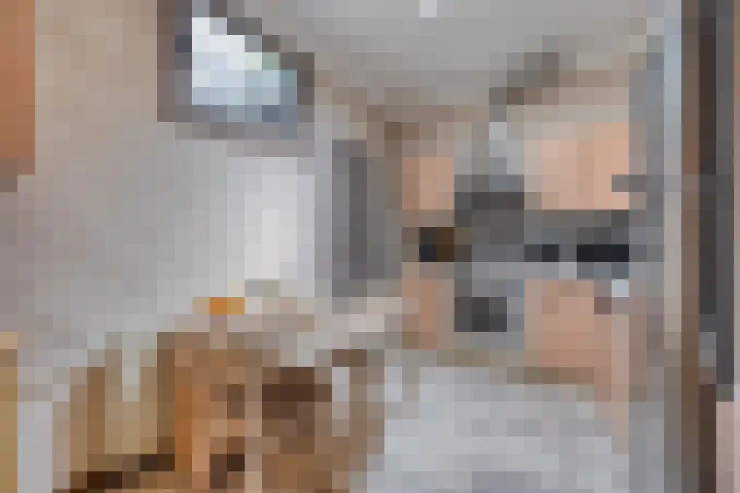Grenulaan 50 Terneuzen thumbnail 14