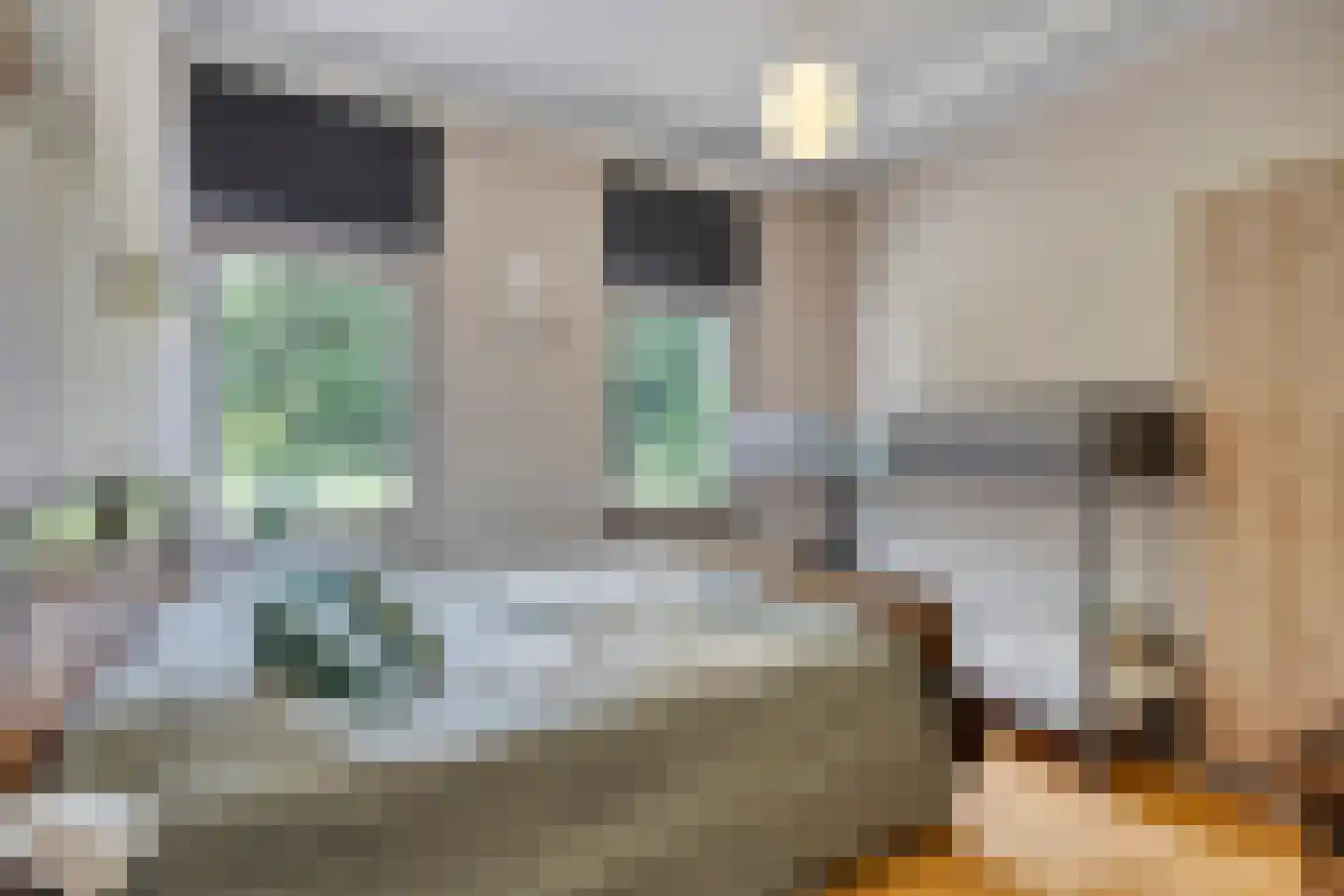 Grenulaan 50 Terneuzen thumbnail 17