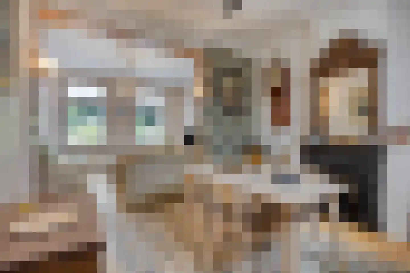 Grenulaan 50 Terneuzen thumbnail 9