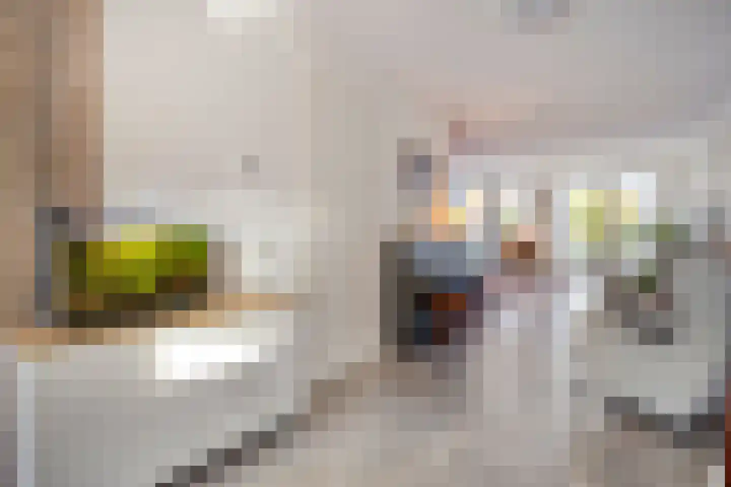Grenzenboom 11 Ewijk thumbnail 12