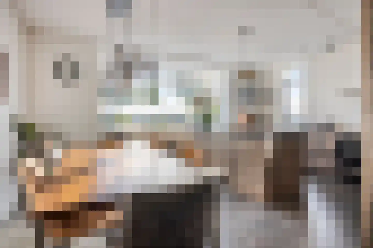 Grenzenboom 11 Ewijk thumbnail 13