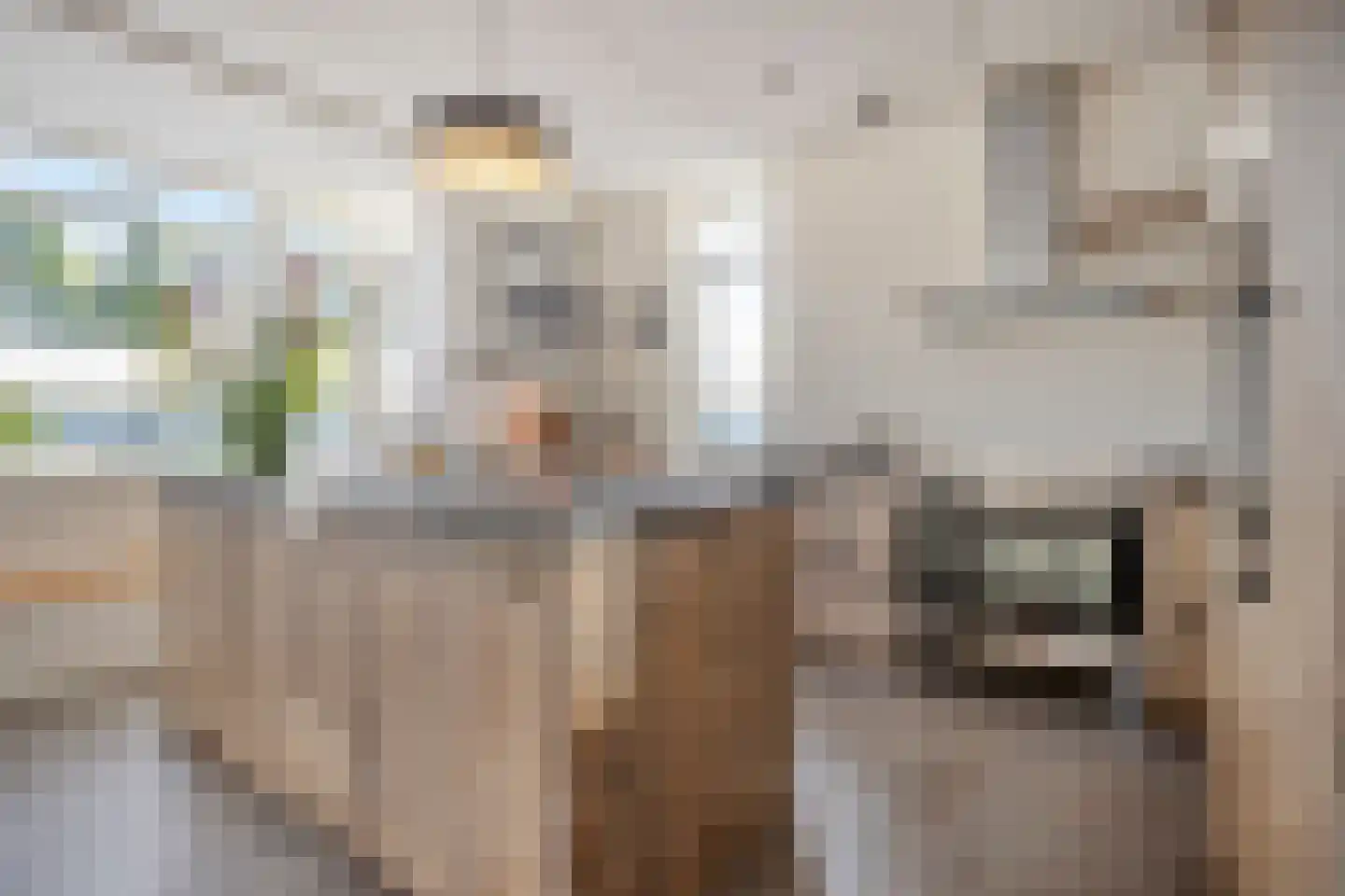 Grenzenboom 11 Ewijk thumbnail 14