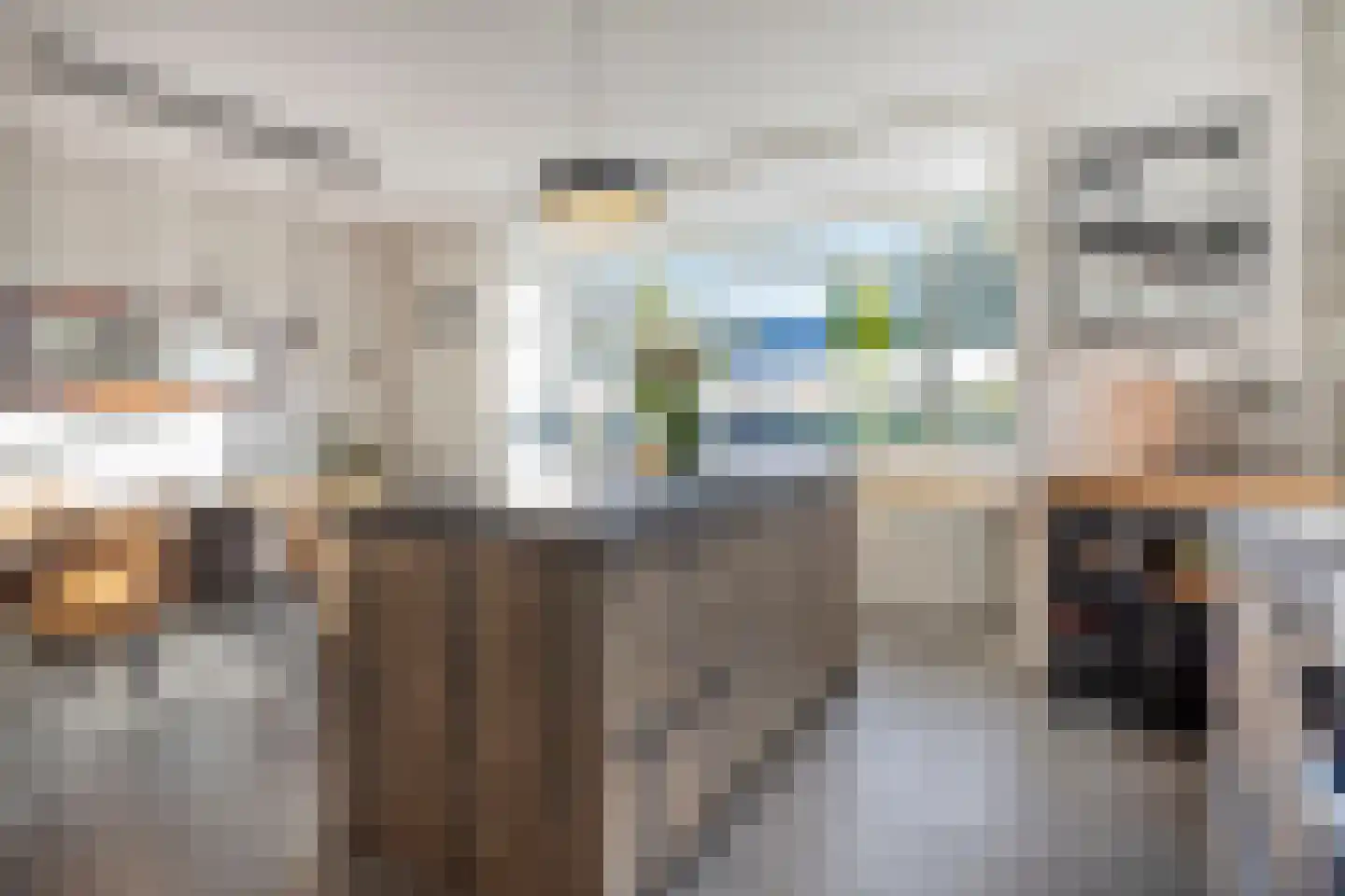 Grenzenboom 11 Ewijk thumbnail 17