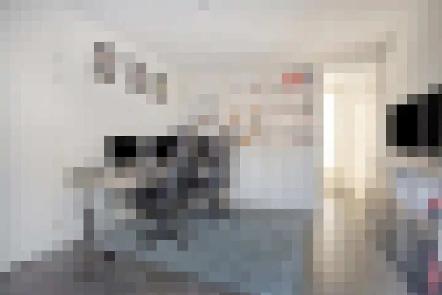 Grenzenboom 11 Ewijk thumbnail 18