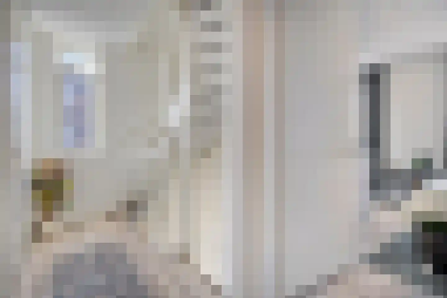 Grenzenboom 11 Ewijk thumbnail 22