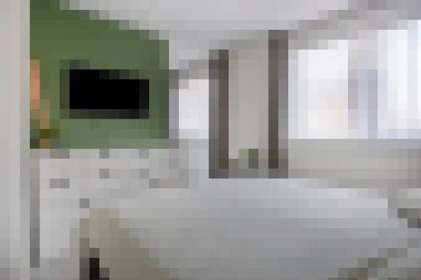 Grenzenboom 11 Ewijk thumbnail 24
