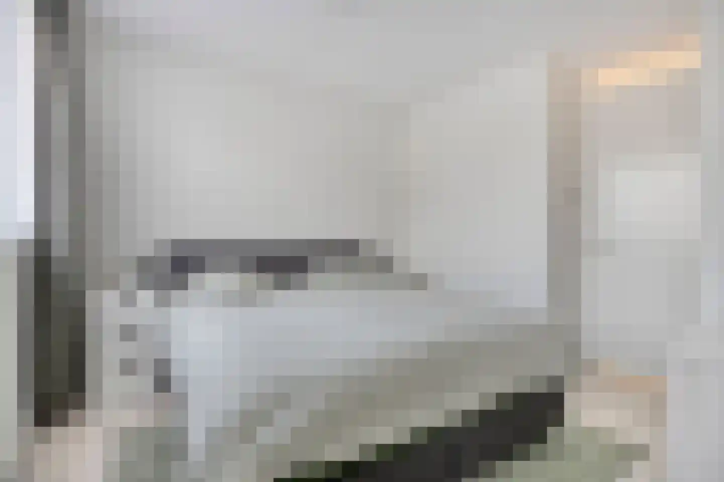 Grenzenboom 11 Ewijk thumbnail 25