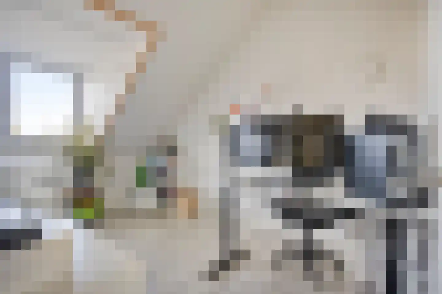 Grenzenboom 11 Ewijk thumbnail 35