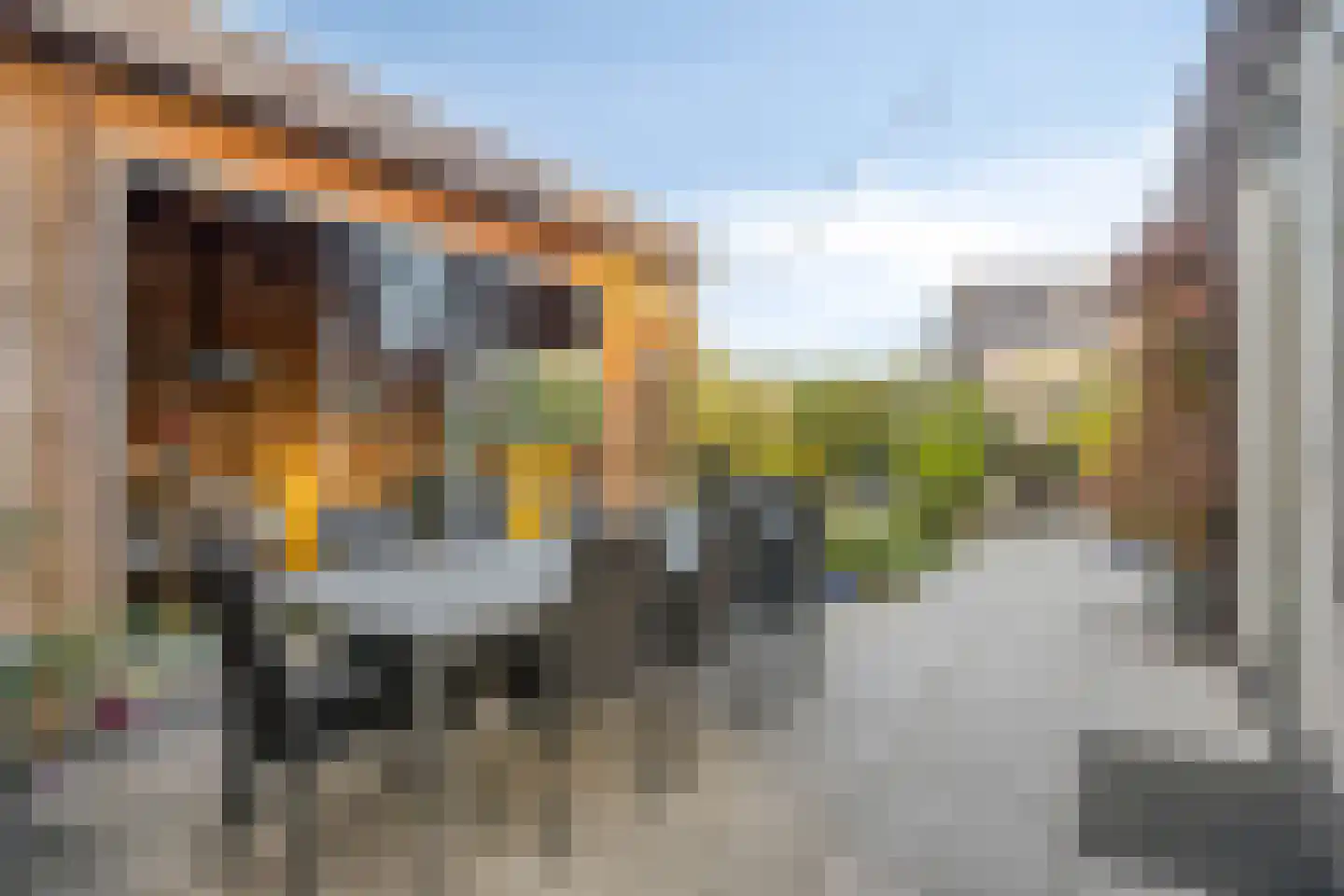 Grenzenboom 11 Ewijk thumbnail 39