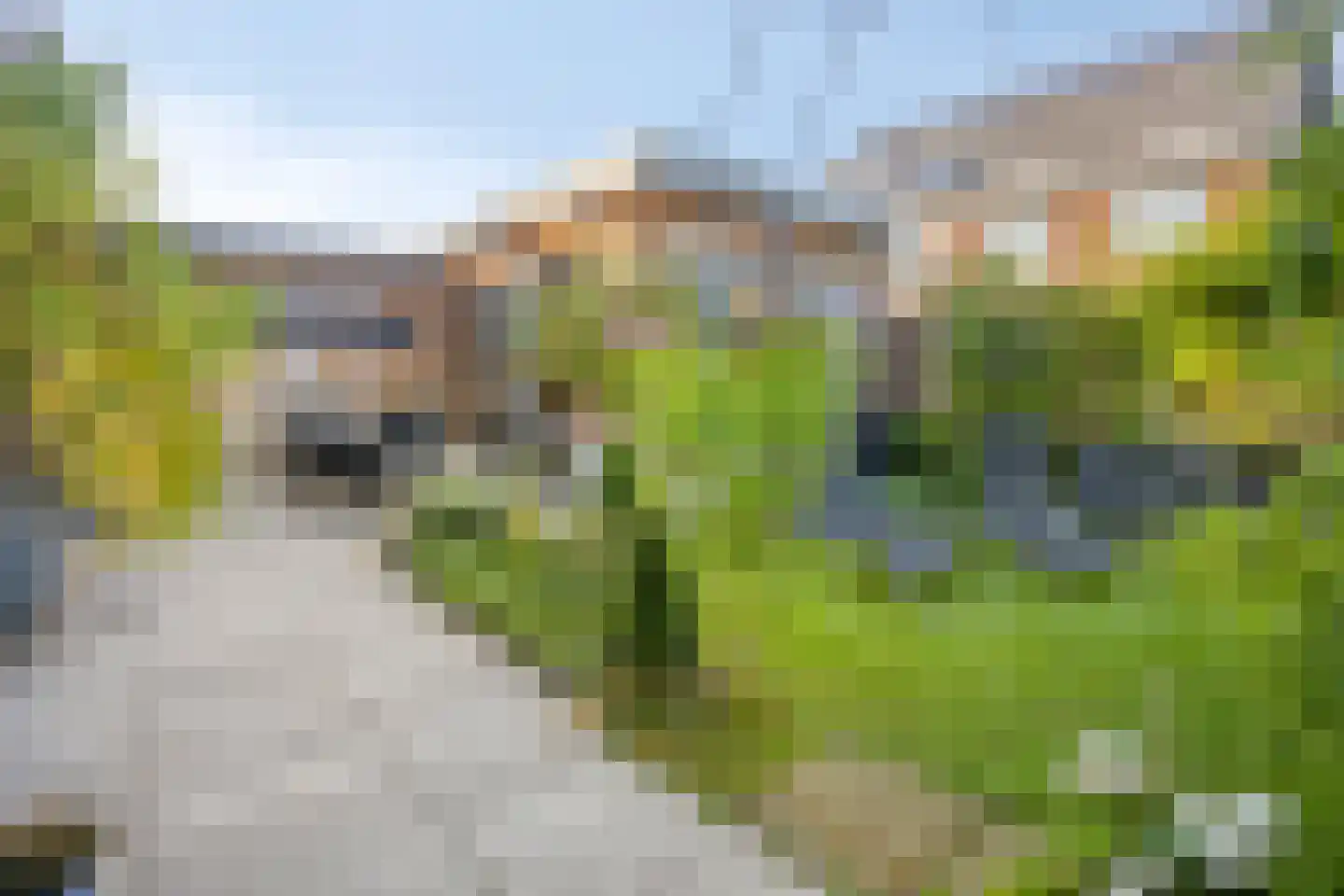 Grenzenboom 11 Ewijk thumbnail 41