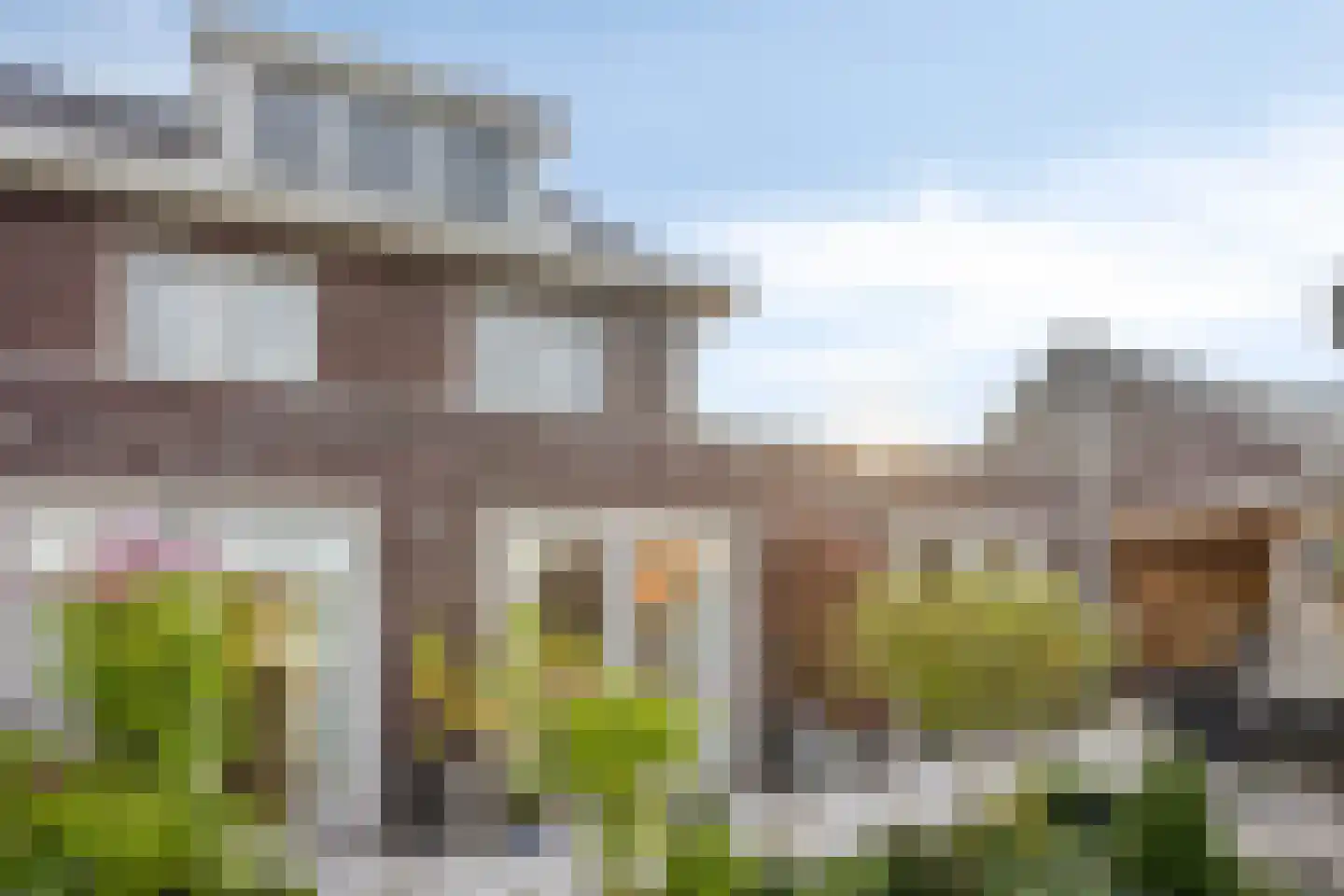 Grenzenboom 11 Ewijk thumbnail 42