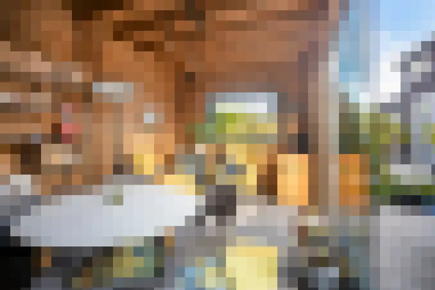 Grenzenboom 11 Ewijk thumbnail 44