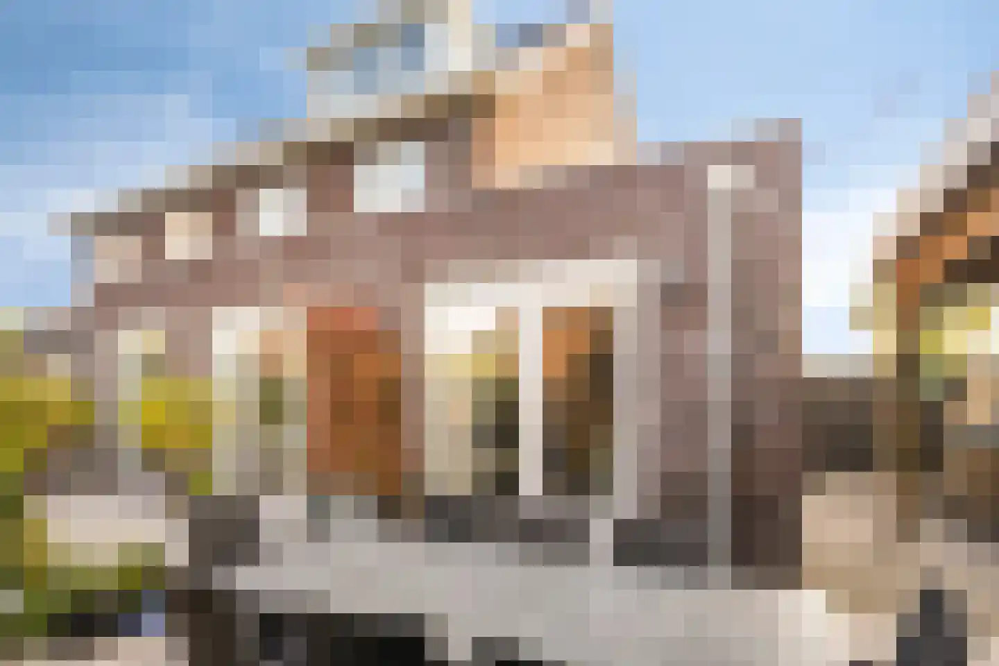 Grenzenboom 11 Ewijk thumbnail 45