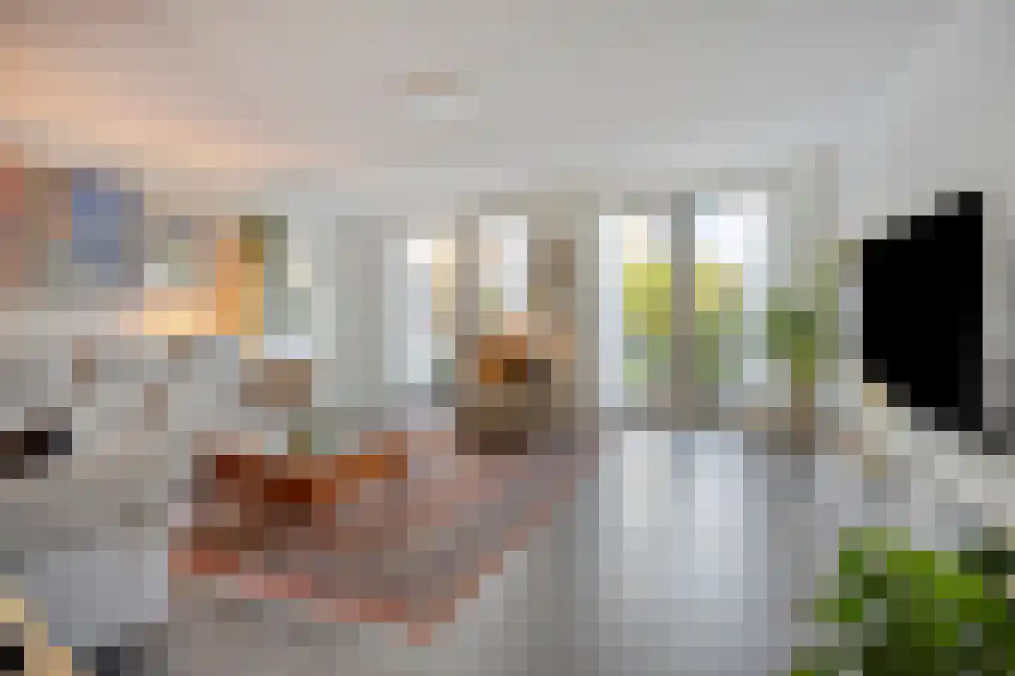 Grenzenboom 11 Ewijk thumbnail 7