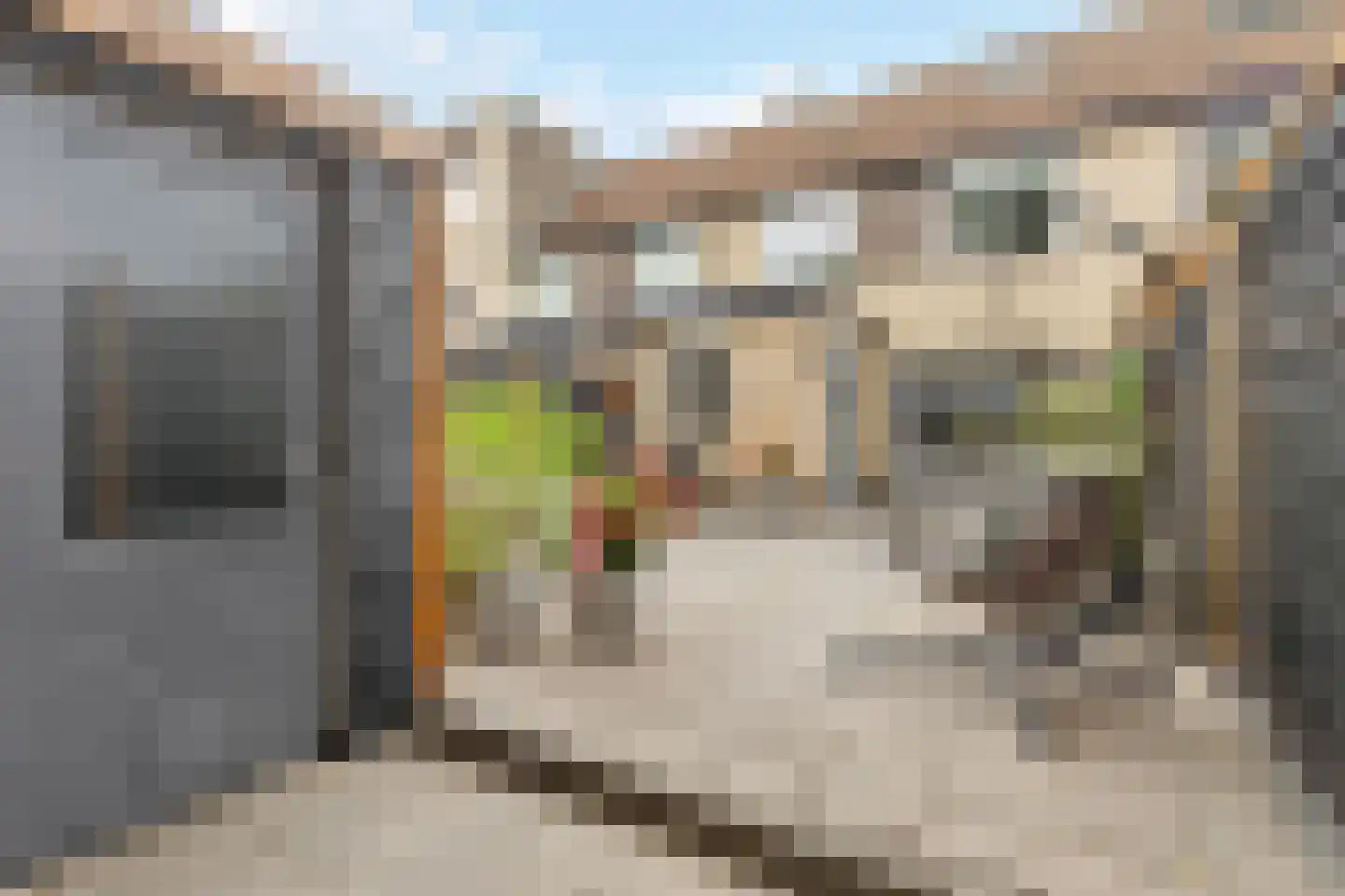 Greppelland 32 Nijkerk thumbnail 31
