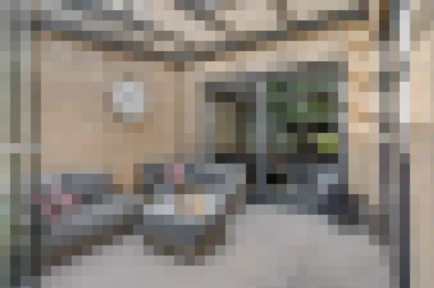 Greppelland 34 Nijkerk thumbnail 13