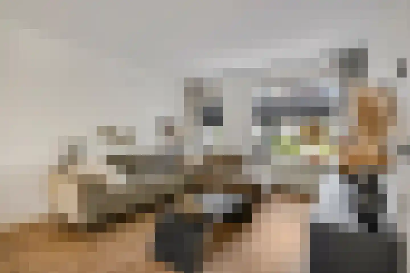 Greppelland 34 Nijkerk thumbnail 6