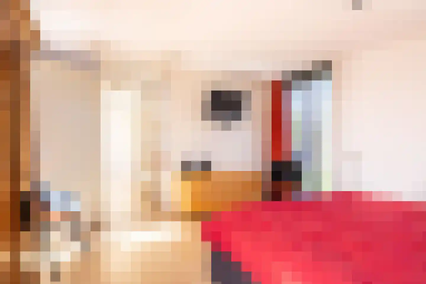 Greppelmos 39 Zwolle thumbnail 18