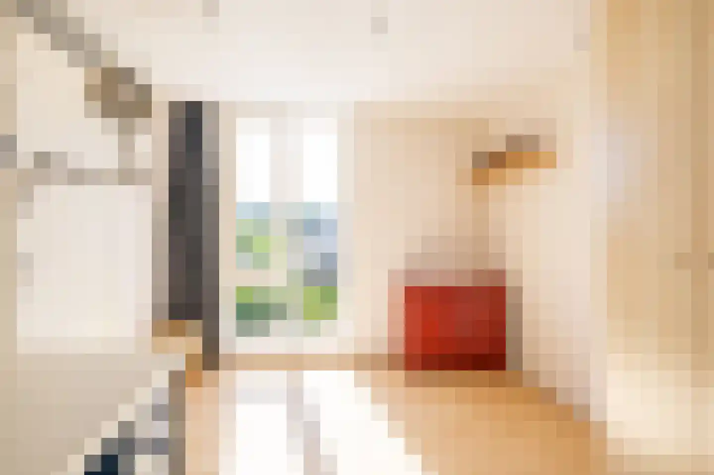 Greppelmos 39 Zwolle thumbnail 23