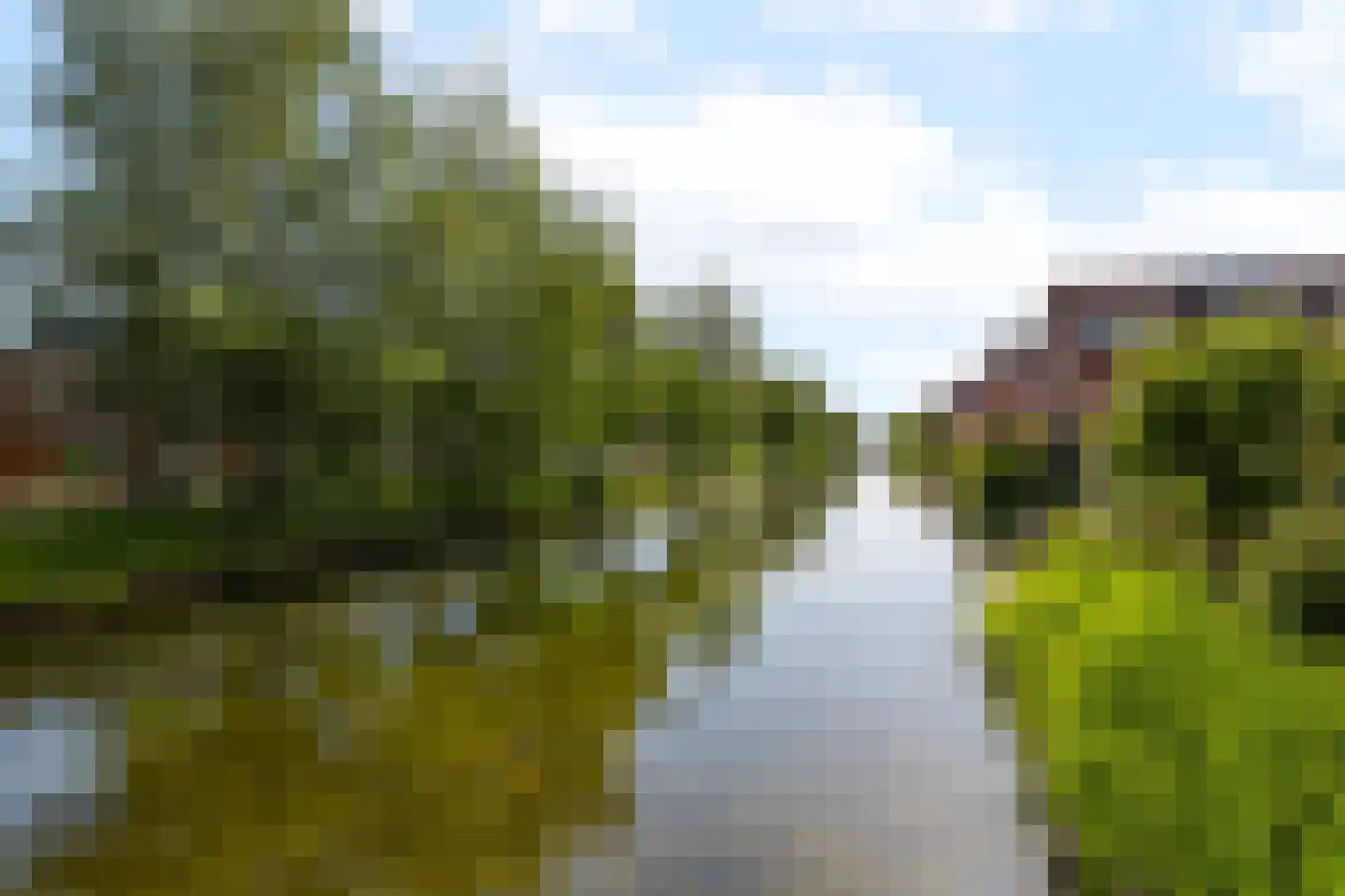 Greppelmos 39 Zwolle thumbnail 31