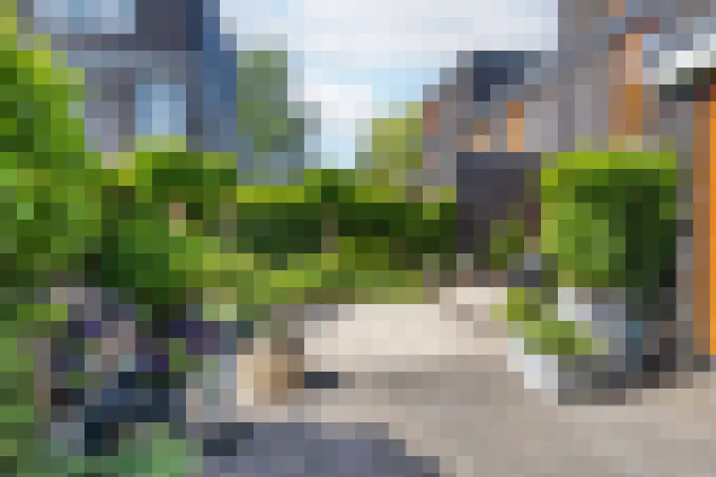 Greppelmos 39 Zwolle thumbnail 4