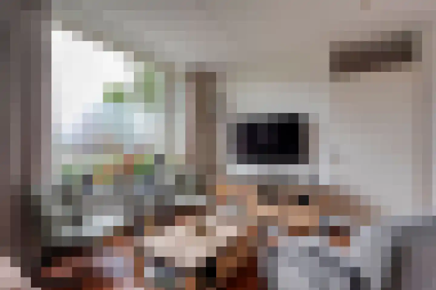 Greppelmos 9 Zwolle thumbnail 15