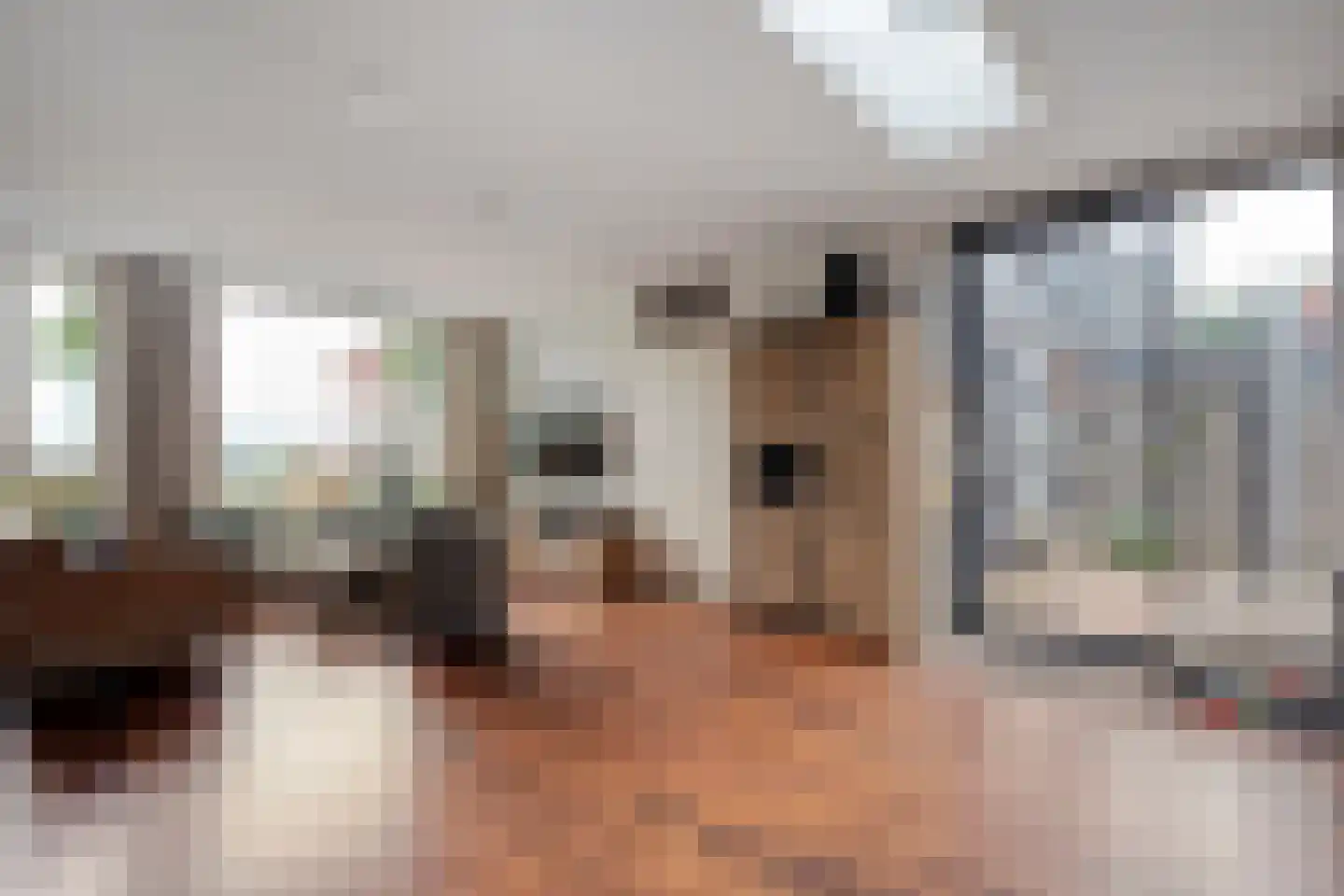 Greppelmos 9 Zwolle thumbnail 18