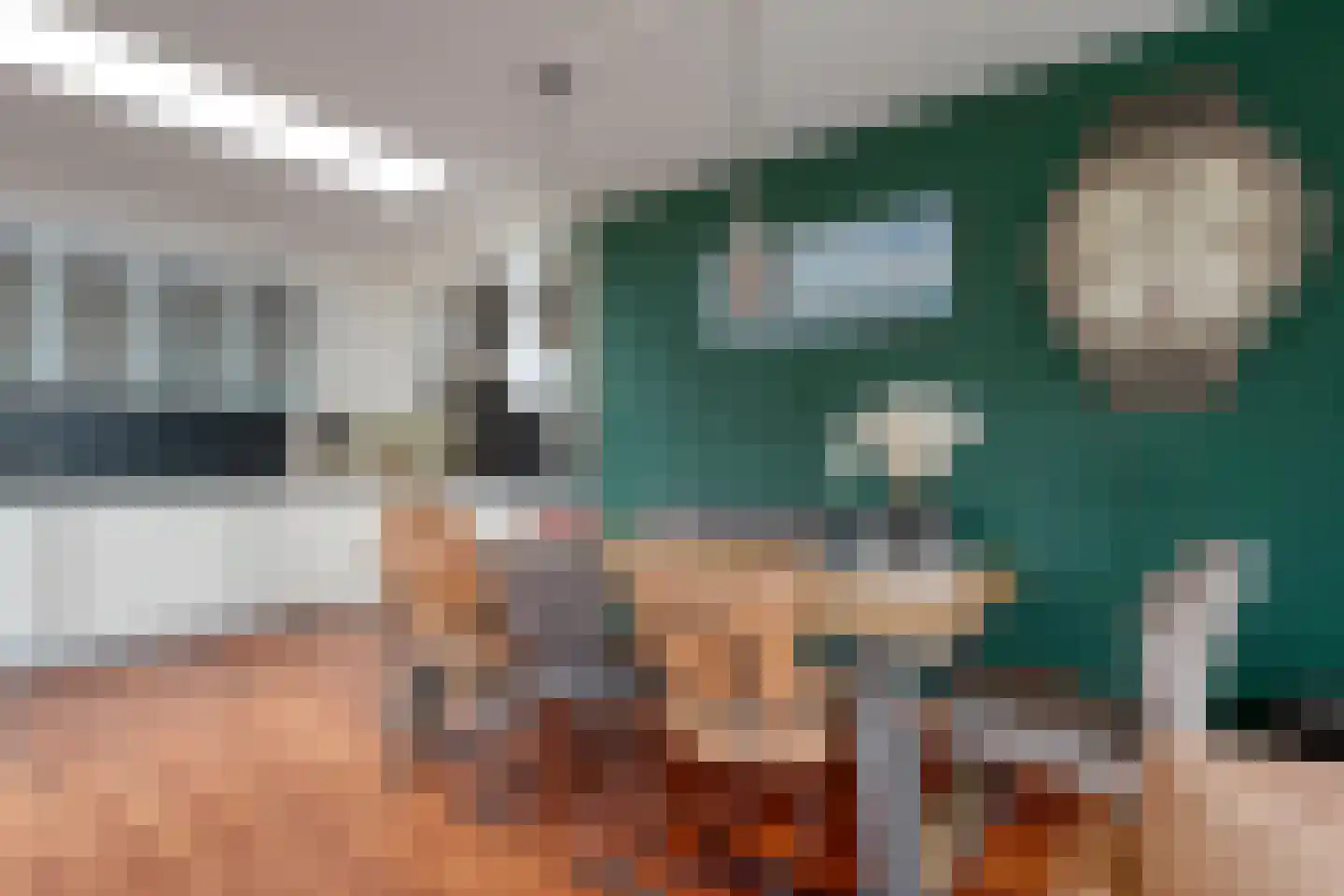Greppelmos 9 Zwolle thumbnail 20
