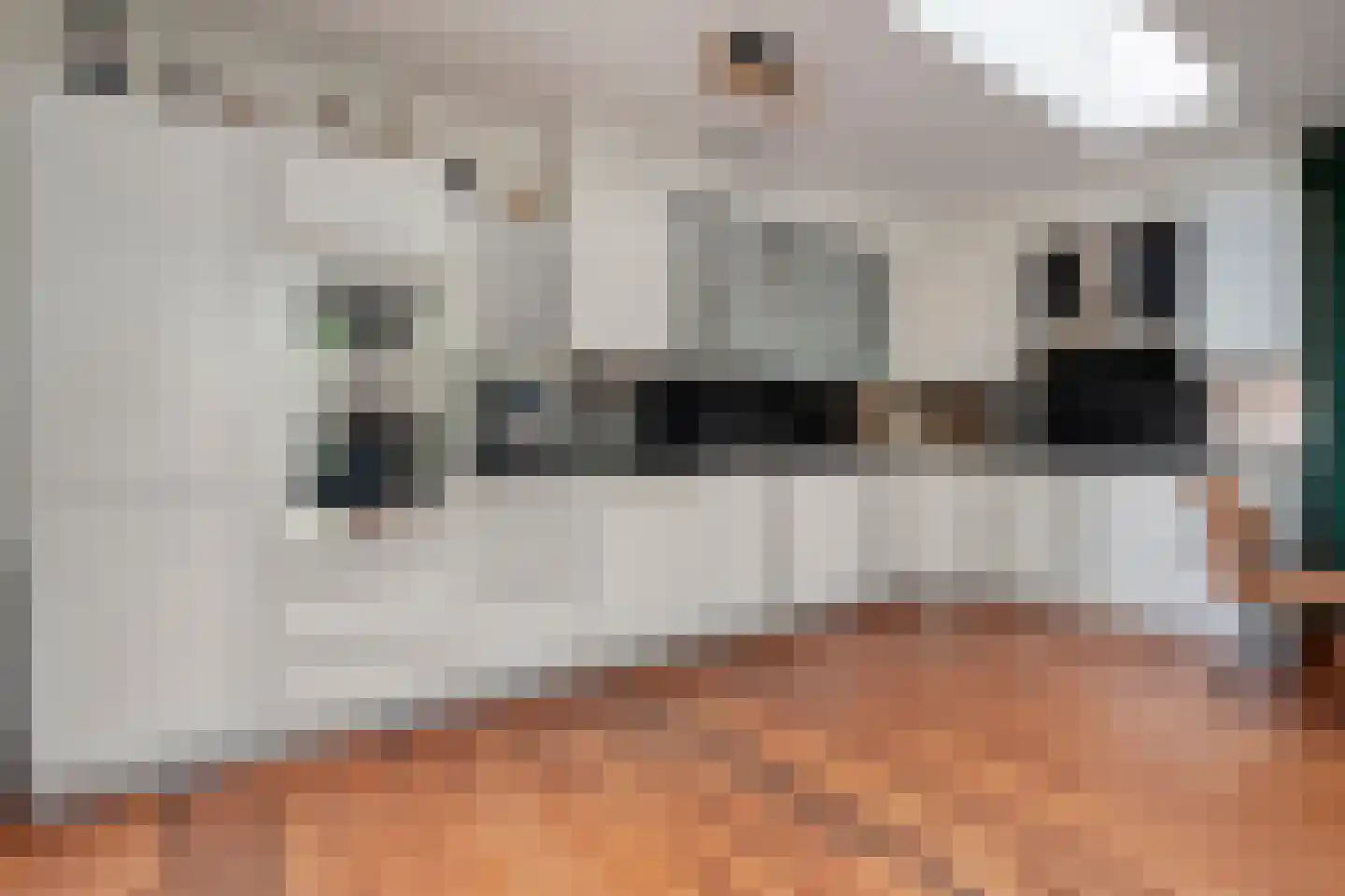 Greppelmos 9 Zwolle thumbnail 23