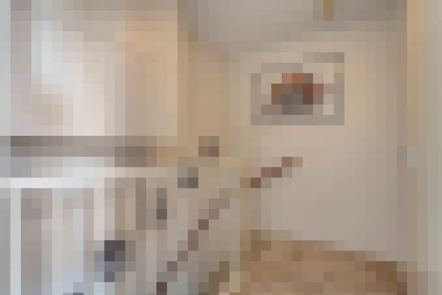 Greppelmos 9 Zwolle thumbnail 35