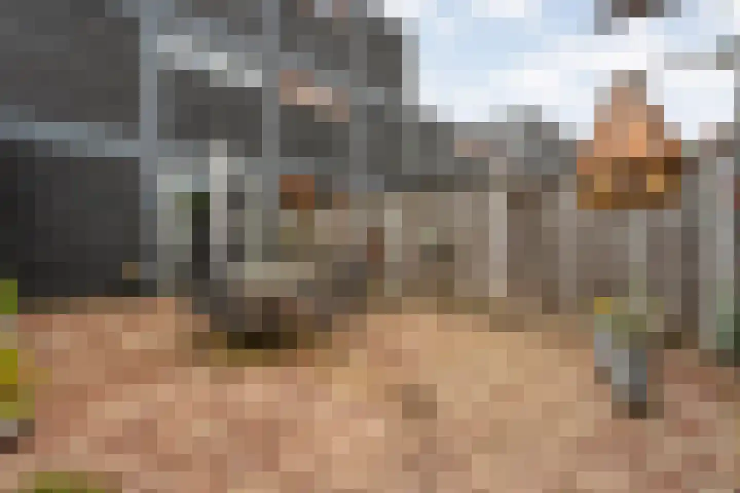 Greppelmos 9 Zwolle thumbnail 39