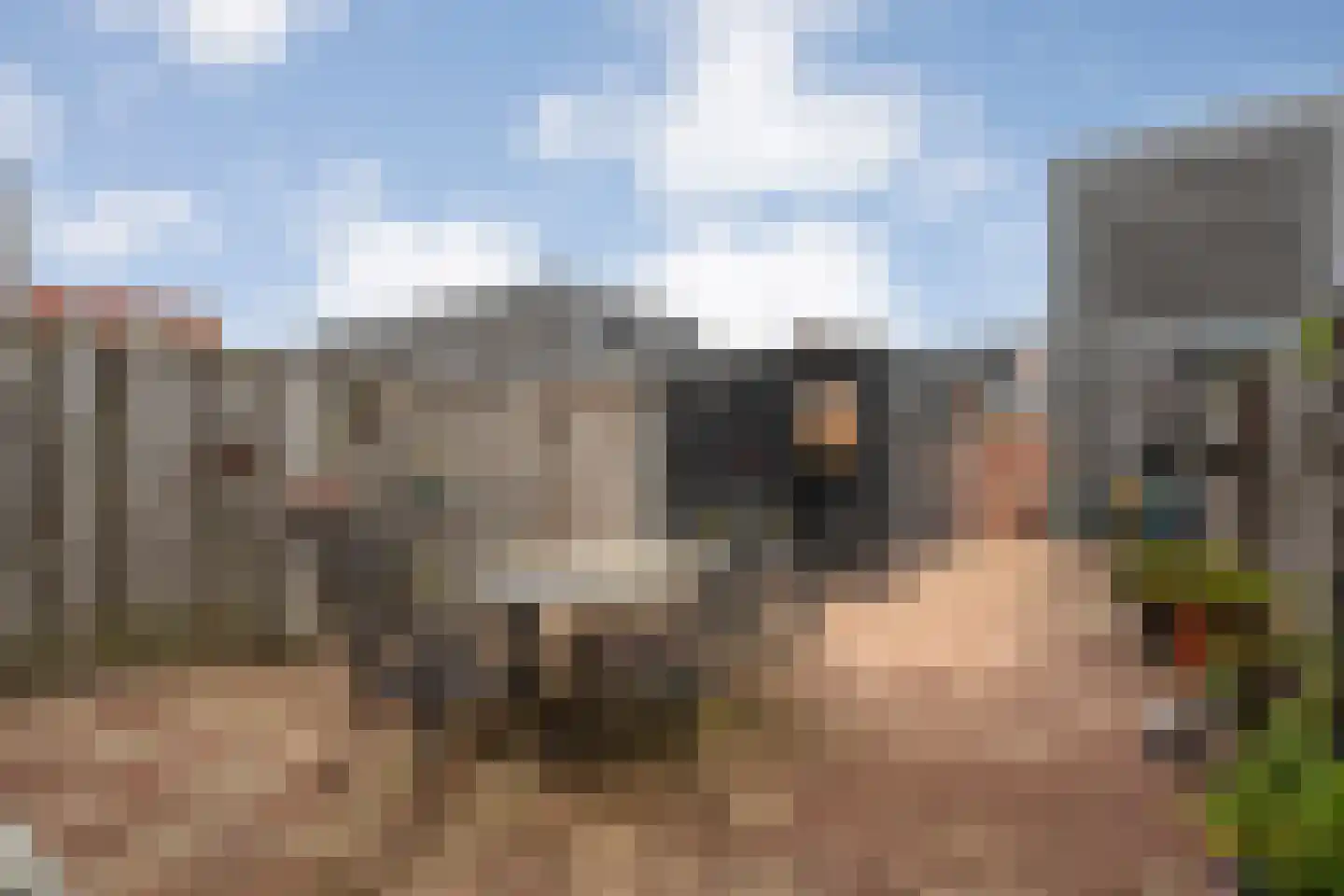 Greppelmos 9 Zwolle thumbnail 40