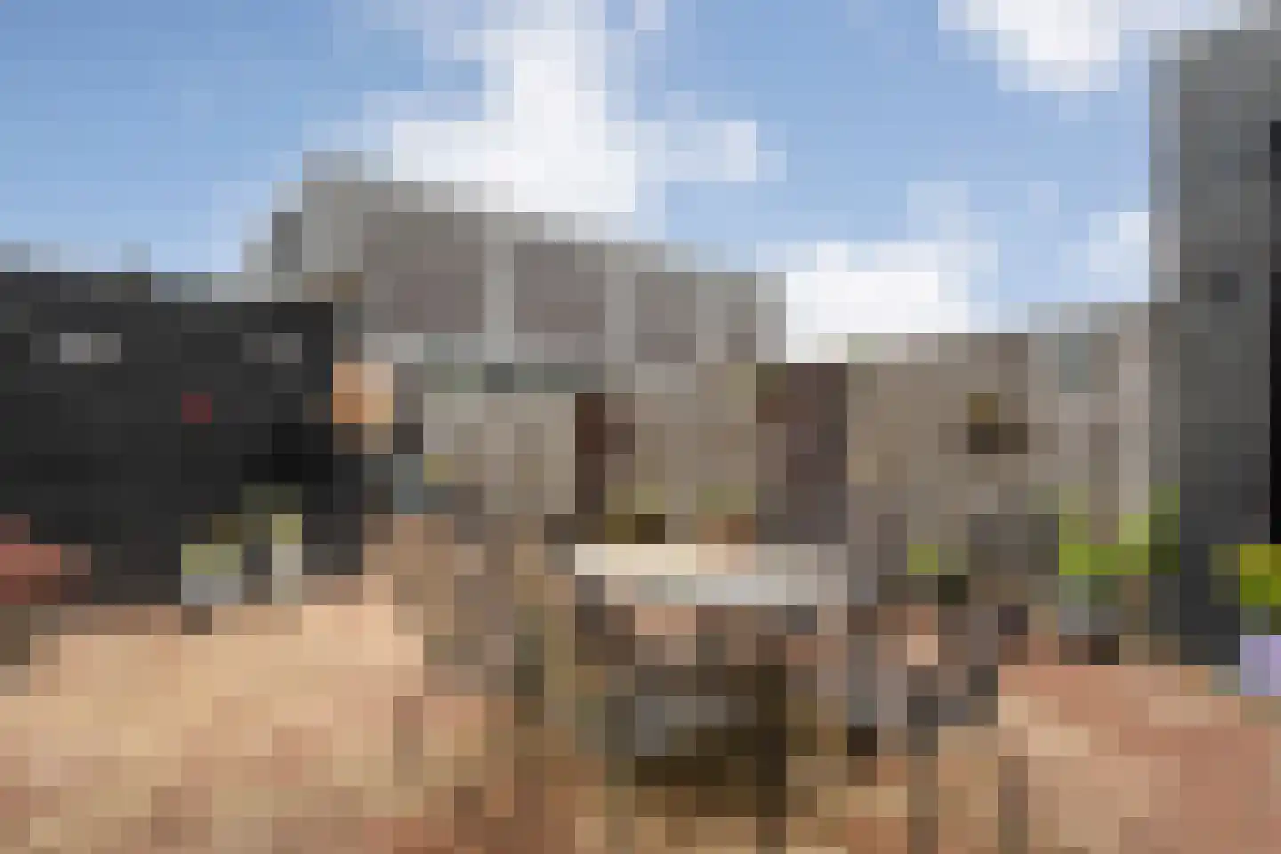 Greppelmos 9 Zwolle thumbnail 41
