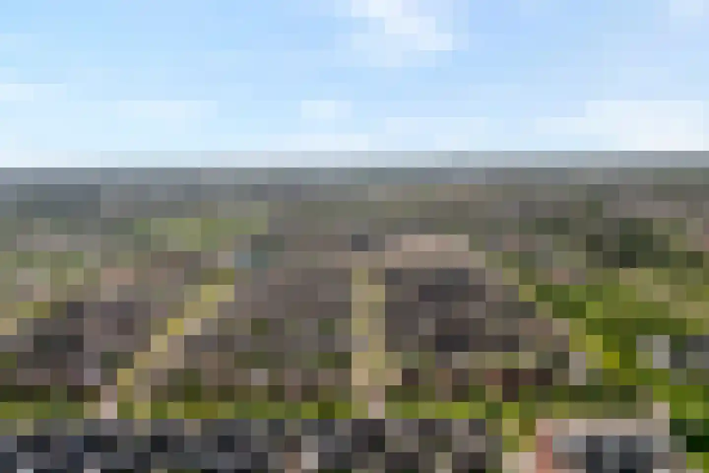 Greppelmos 9 Zwolle thumbnail 5