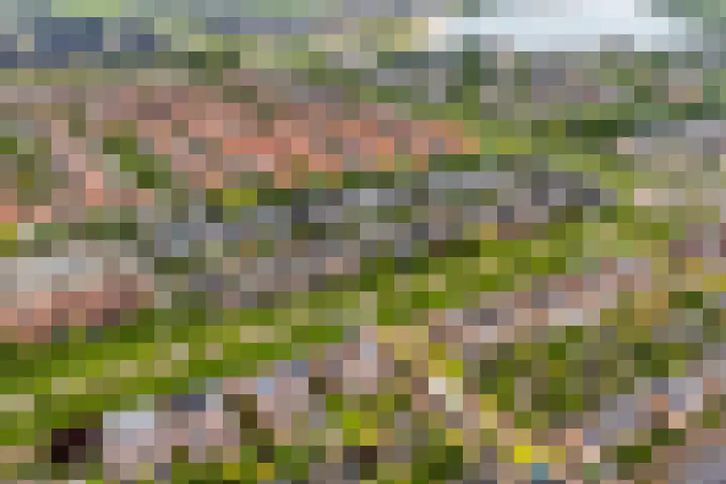 Greppelmos 9 Zwolle thumbnail 6