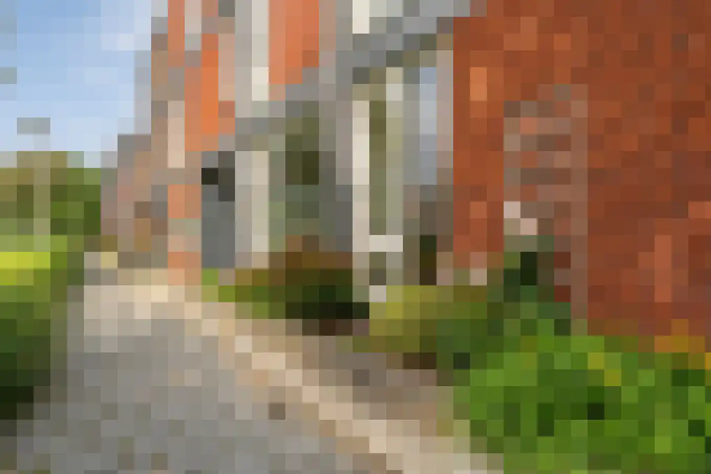Greppelmos 9 Zwolle thumbnail 8