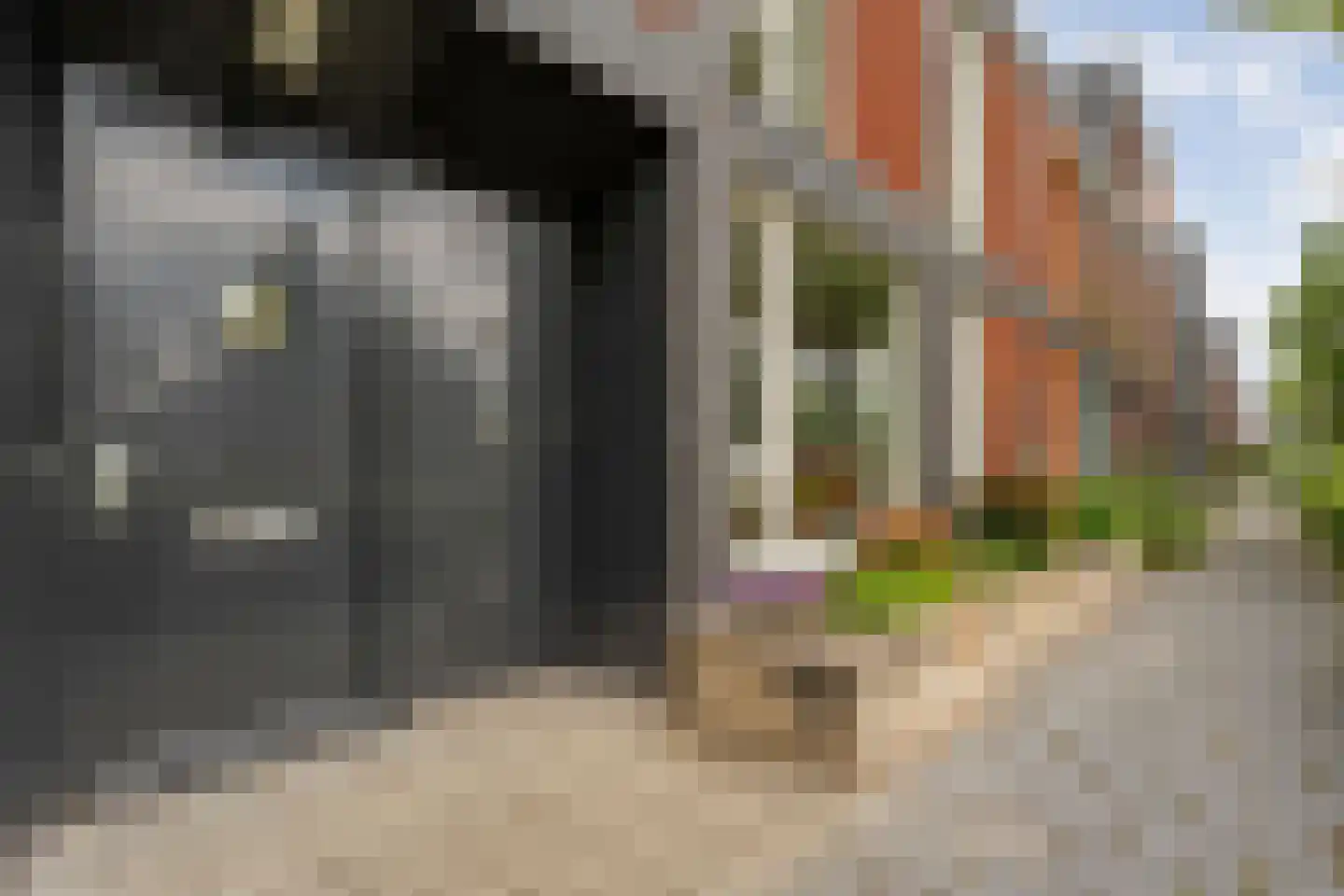 Greppelmos 9 Zwolle thumbnail 9