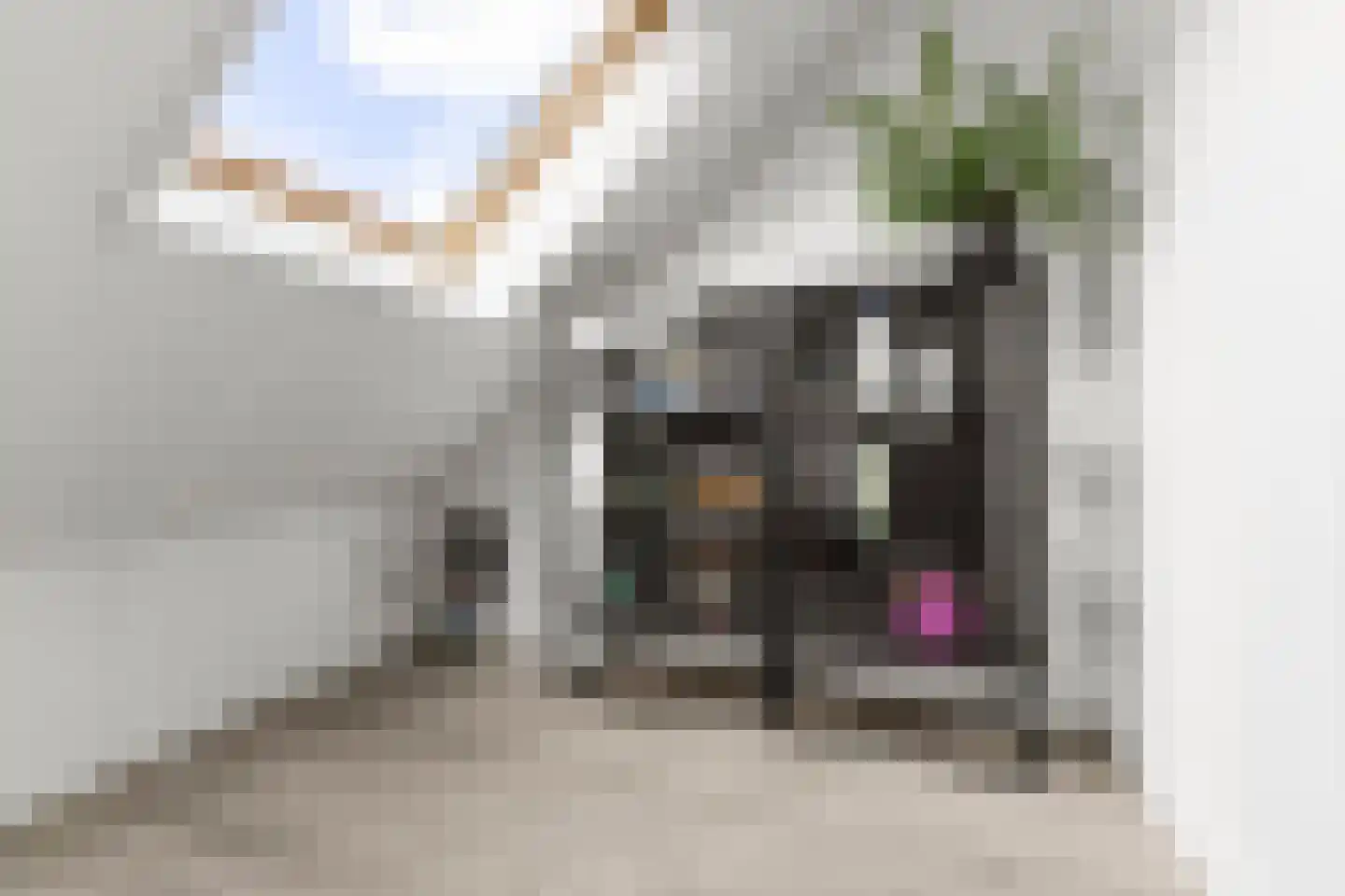 Greppelstraat 1 Hoef en Haag thumbnail 24